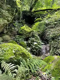 Terreno Estado de México - Miniatura 1