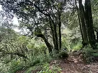 Terreno Estado de México - Miniatura 4
