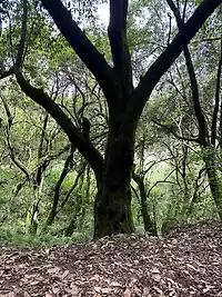 Terreno Estado de México - Miniatura 5