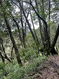 Terreno Estado de México - Miniatura 7