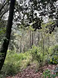 Terreno Estado de México - Miniatura 8