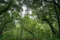 Terreno Estado de México - Miniatura 9