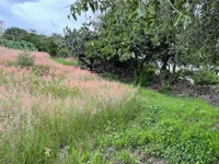 Terreno en El Rodeo, Dolores Godoy - Miniatura 3